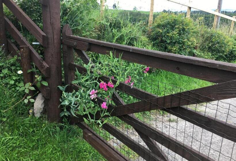 Jacquie S B&b Dumfries Room With A View Hot Tub