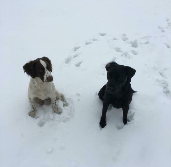 Old Gloucester Road Farm Bed And Breakfast