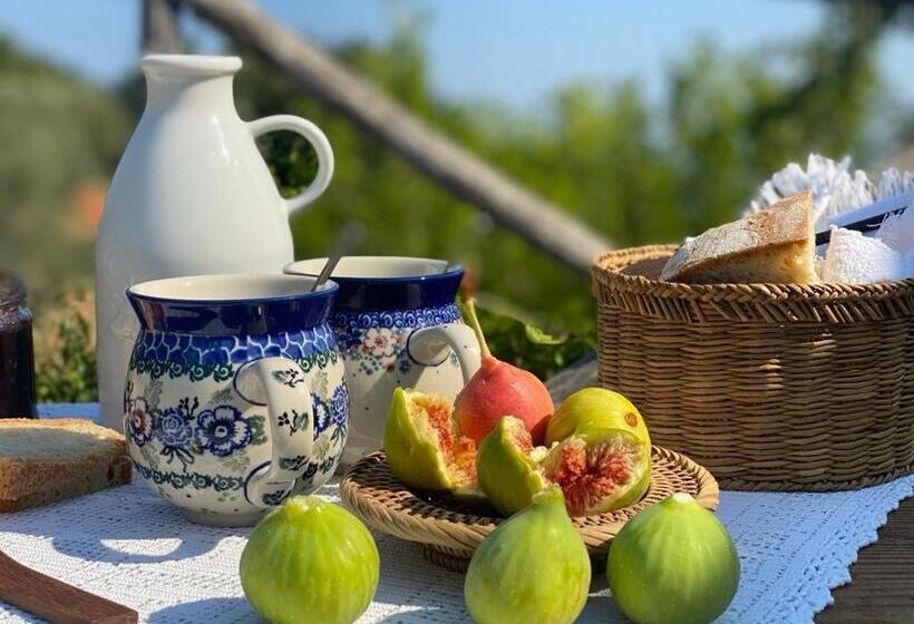 بنسيون Campagna Vista Mare