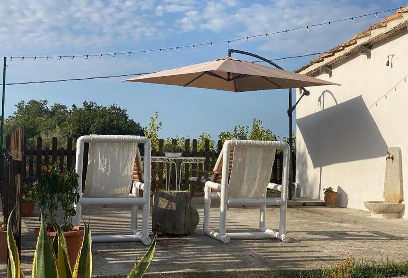 بنسيون Campagna Vista Mare