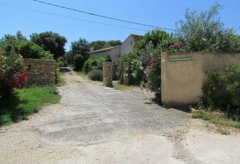 بنسيون Chambre D’hôtes Des Oliviers