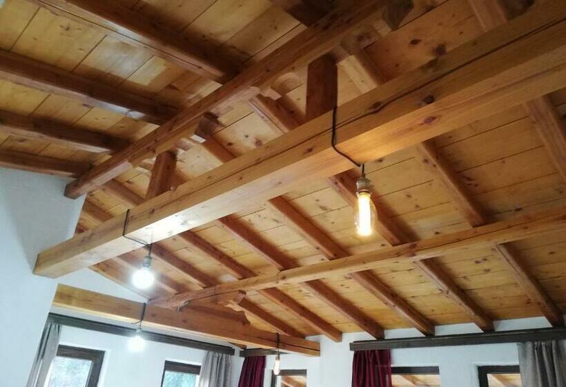 פנסיון Guest House Elena