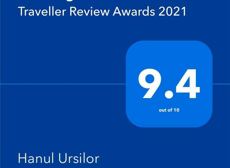 פנסיון Hanul Ursilor