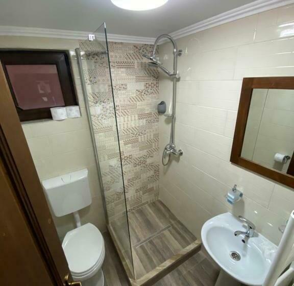 פנסיון Hanul Ursilor