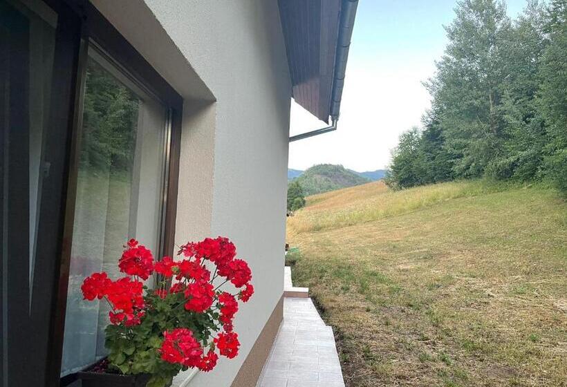 פנסיון Hanul Ursilor