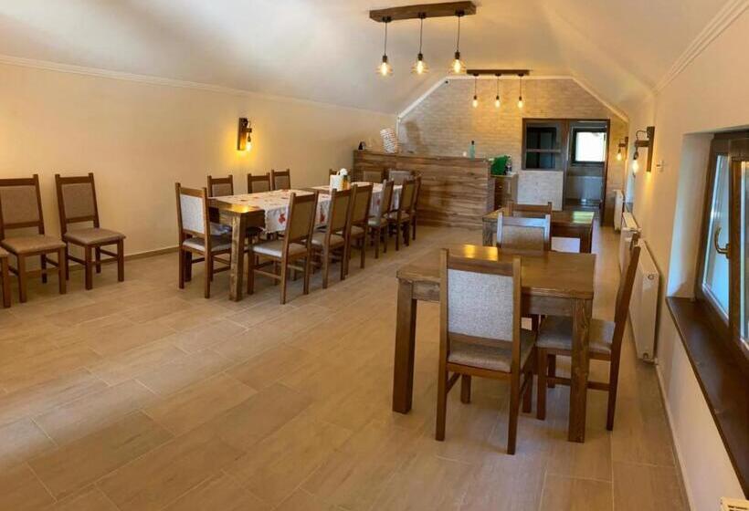 פנסיון Hanul Ursilor