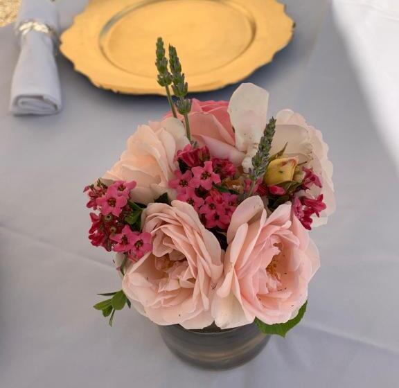 פנסיון Manoir De Bel Ebat