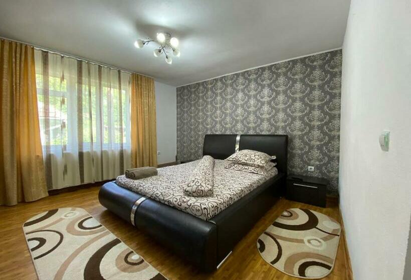 Пансион Micul Popas