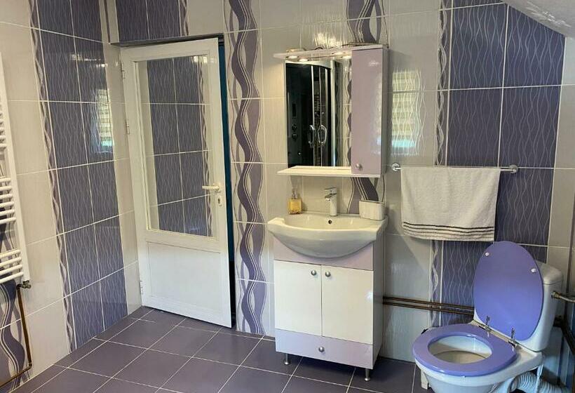 Пансион Micul Popas