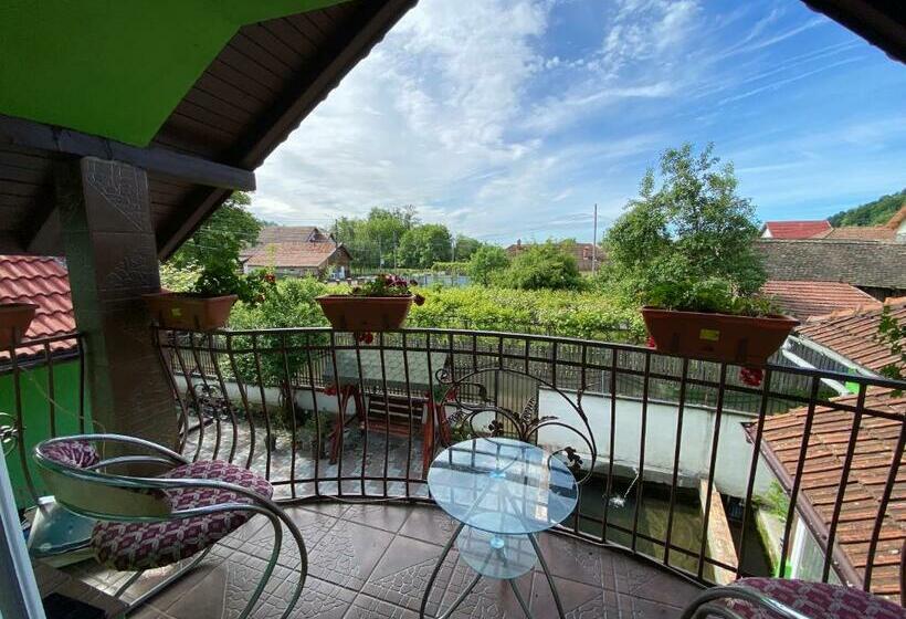 Пансион Micul Popas