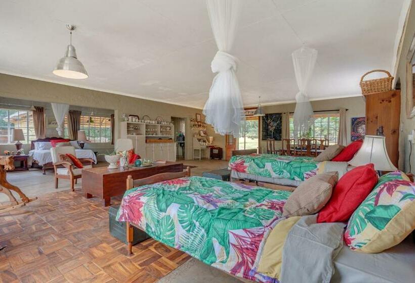 膳宿费 The Lazy Lapa