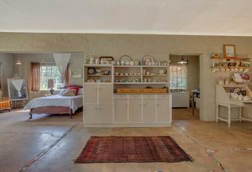 膳宿费 The Lazy Lapa