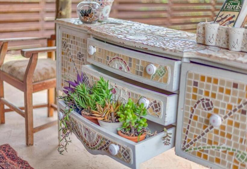 膳宿费 The Lazy Lapa