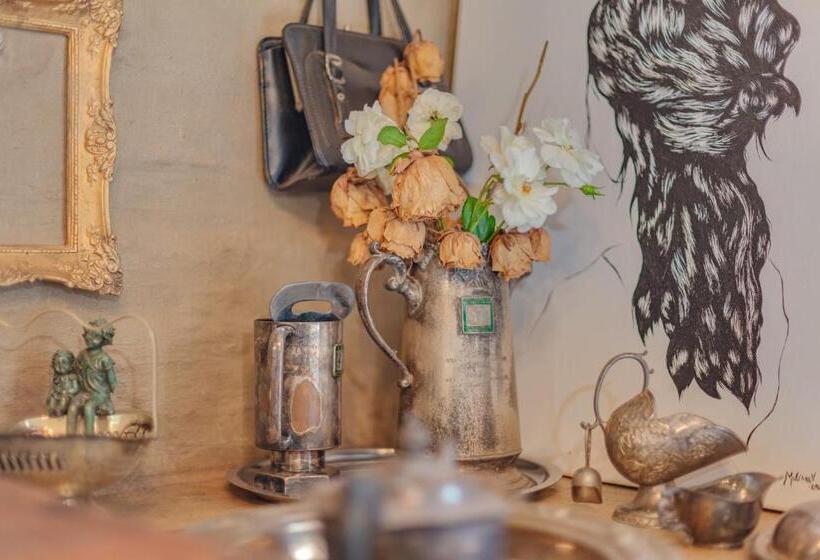 膳宿费 The Lazy Lapa