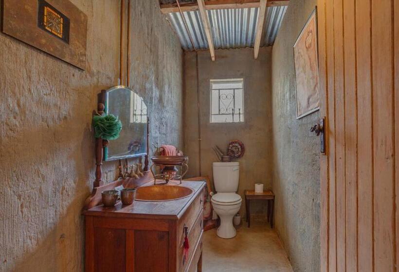 膳宿费 The Lazy Lapa