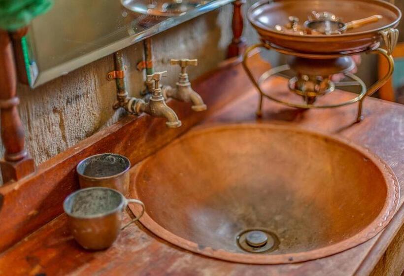 膳宿费 The Lazy Lapa