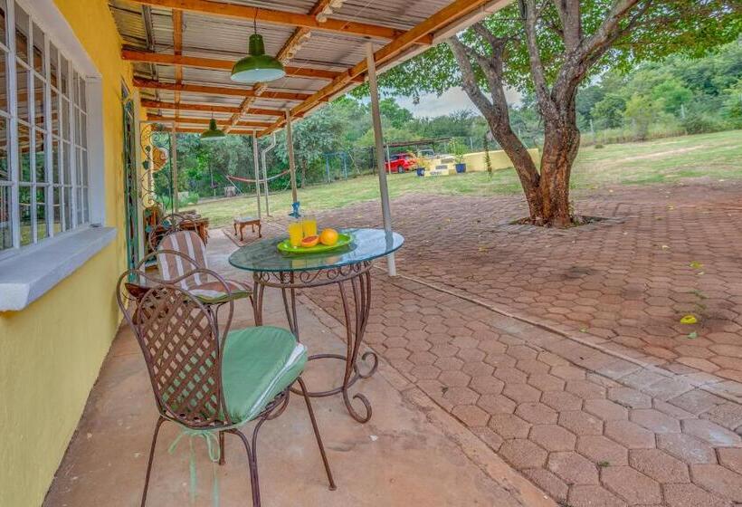 膳宿费 The Lazy Lapa