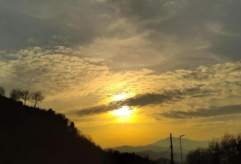 Resort Bouquet & Gourmet