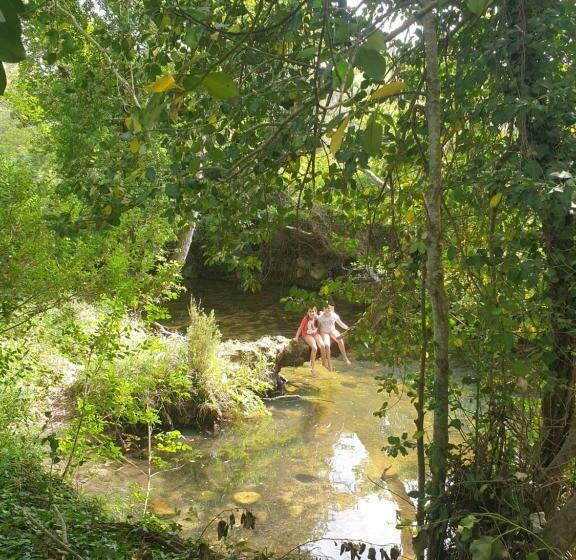 צימר Cantina Perandria