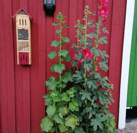 민박 Naturnära Charmigt Boende