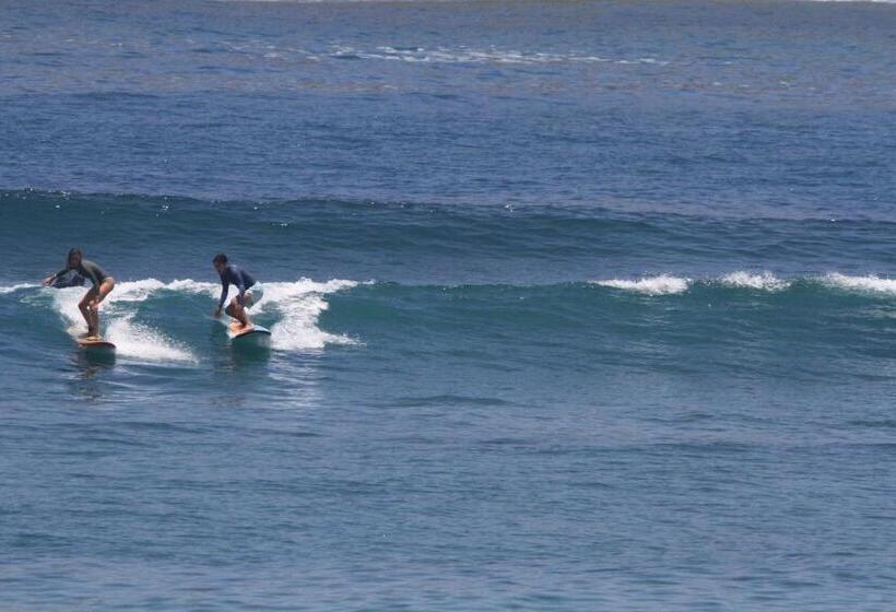 Nocleg ze śniadaniem Tropical Sunday Bungalow   Surf And Stay