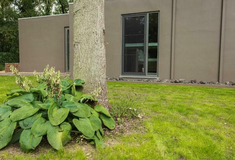 Bed & Breakfast Nummer5