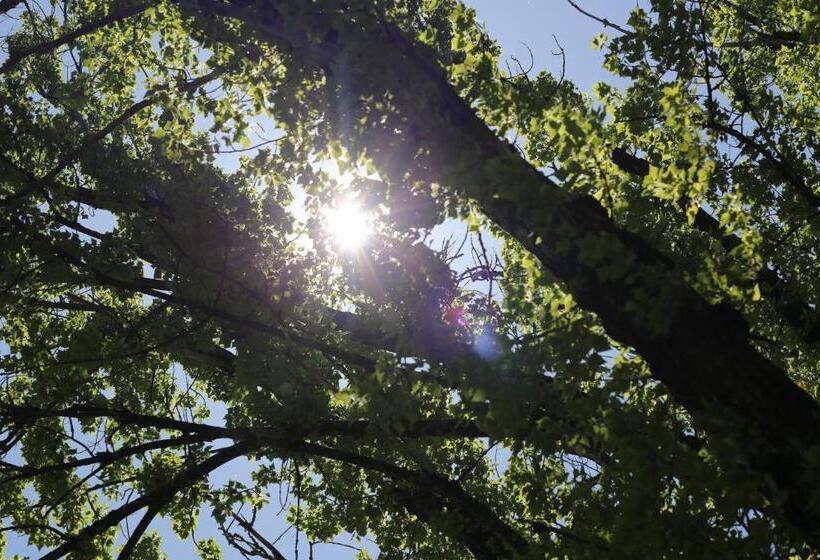 بنسيون Agri Resort Masusa