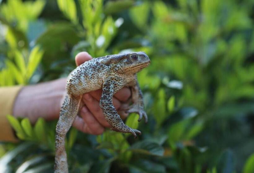 بنسيون Agri Resort Masusa