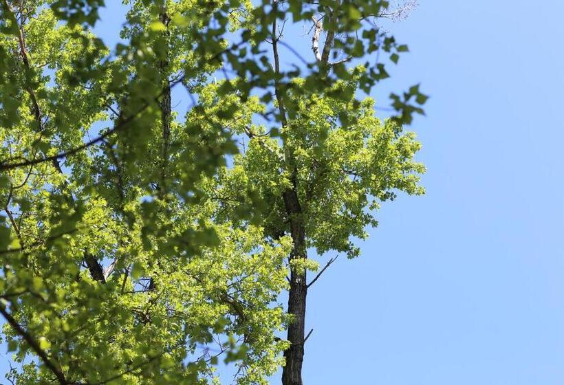 بنسيون Agri Resort Masusa