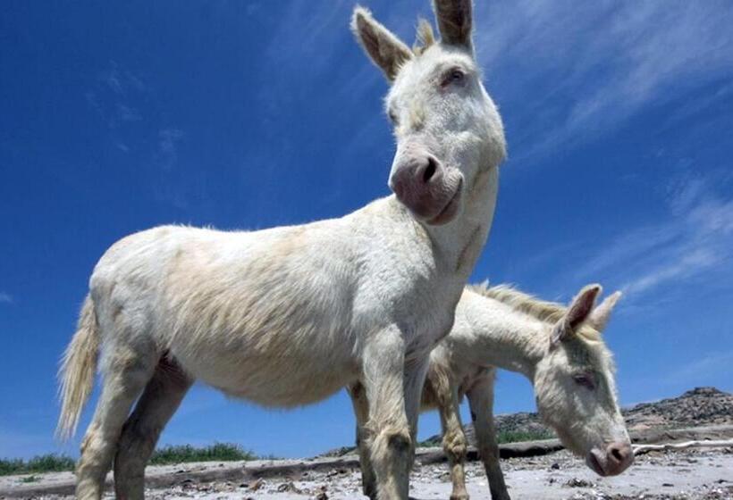 بنسيون Karamare