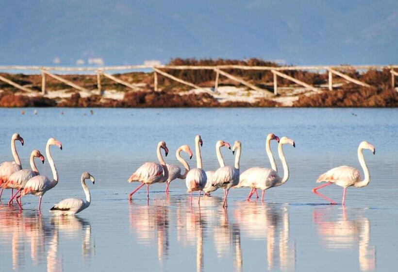 بنسيون Karamare