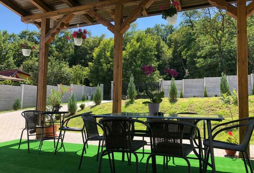 פנסיון Vilafrancisca10