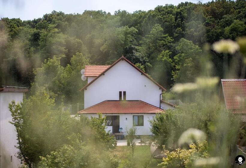 פנסיון Vilafrancisca10