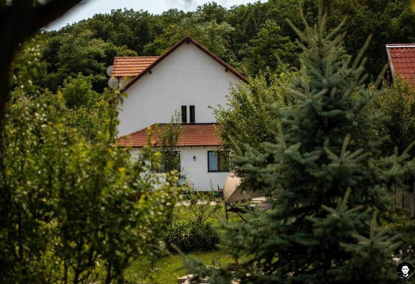 פנסיון Vilafrancisca10