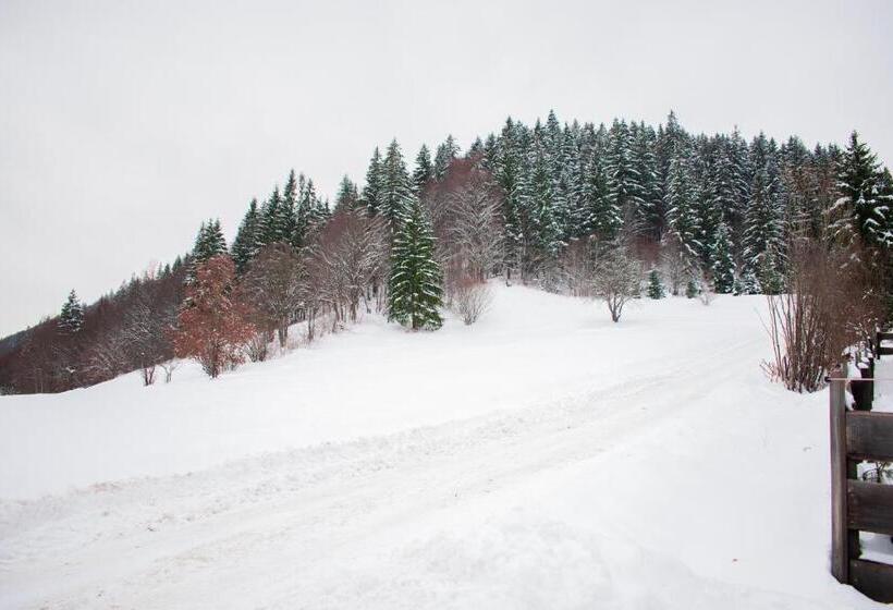 Pensiunea Agroturistică Erdélykincse Panzió