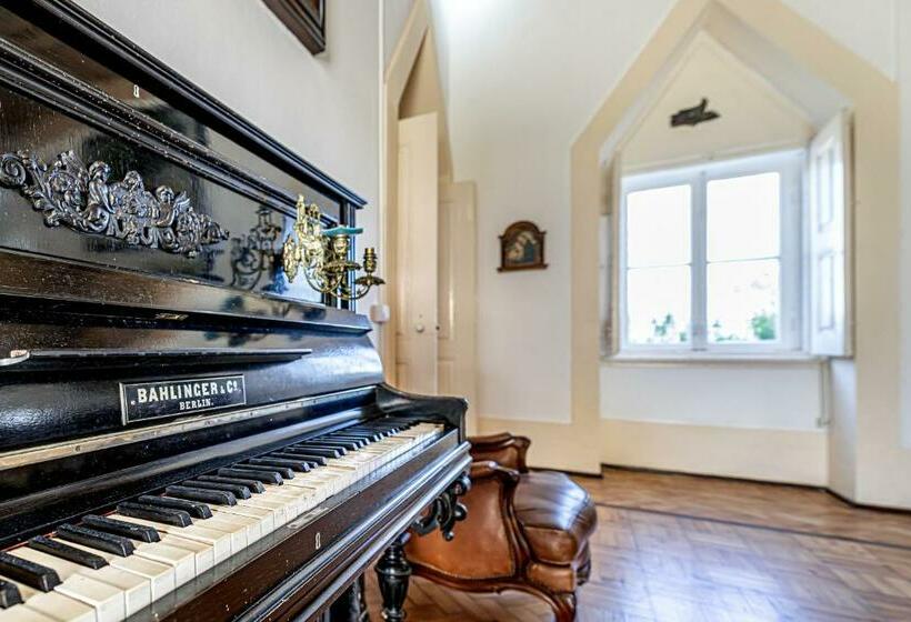 Общежитие Dona Amélia