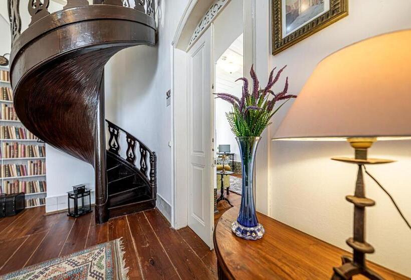 Общежитие Dona Amélia