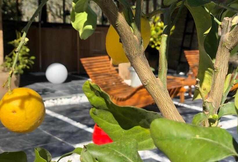 Bed and Breakfast Demeure Du Porzou, Chambres D Hôtes De Charme Dans Demeure D Exception, Parc Paysager, Spa, Massages