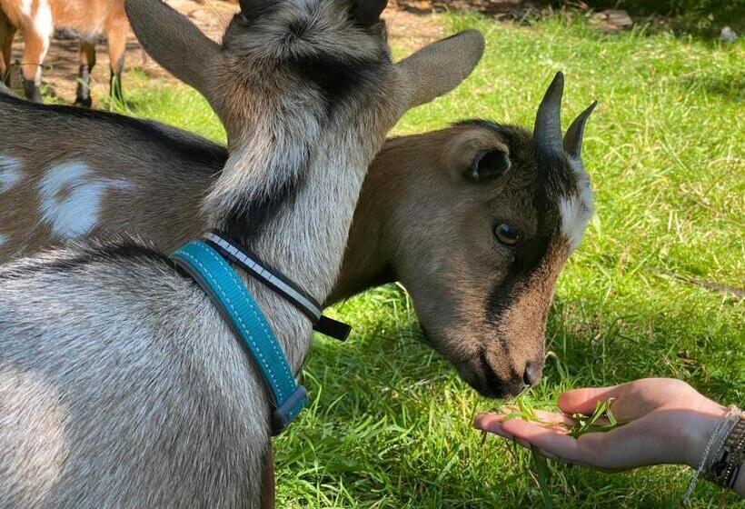 Bed and Breakfast Demeure Du Porzou, Chambres D Hôtes De Charme Dans Demeure D Exception, Parc Paysager, Spa, Massages