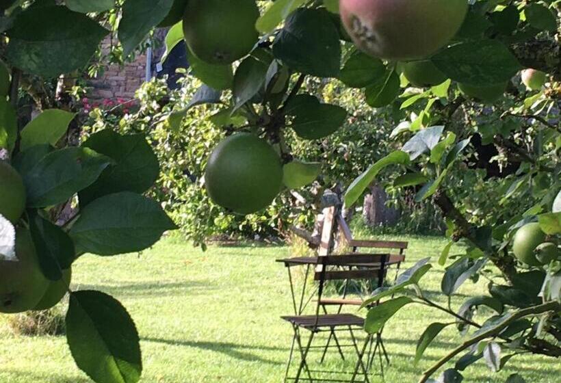 Bed and Breakfast Demeure Du Porzou, Chambres D Hôtes De Charme Dans Demeure D Exception, Parc Paysager, Spa, Massages