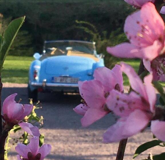 Bed & Breakfast Demeure Du Porzou, Chambres D Hôtes De Charme Dans Demeure D Exception, Parc Paysager, Spa, Massages