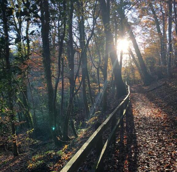 민박 Mount Street House