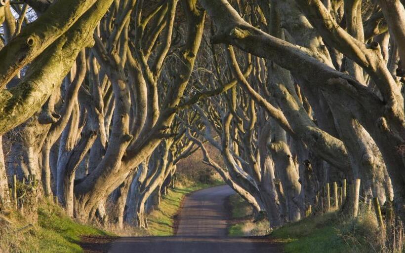 Bed and Breakfast Port 56