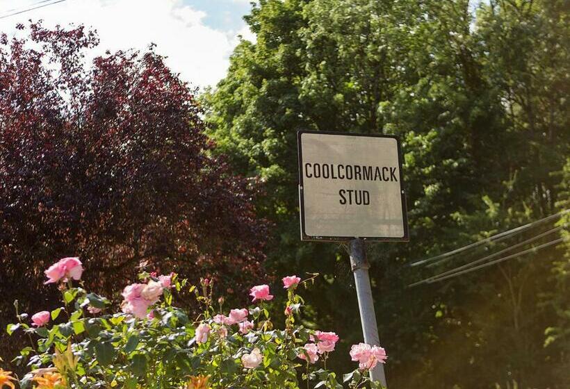 Coolcormack Stud B&b