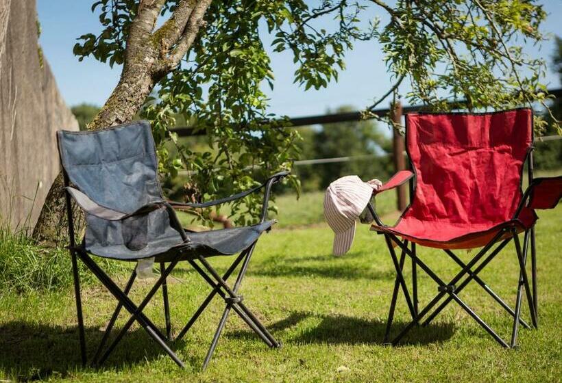 Coolcormack Stud B&b