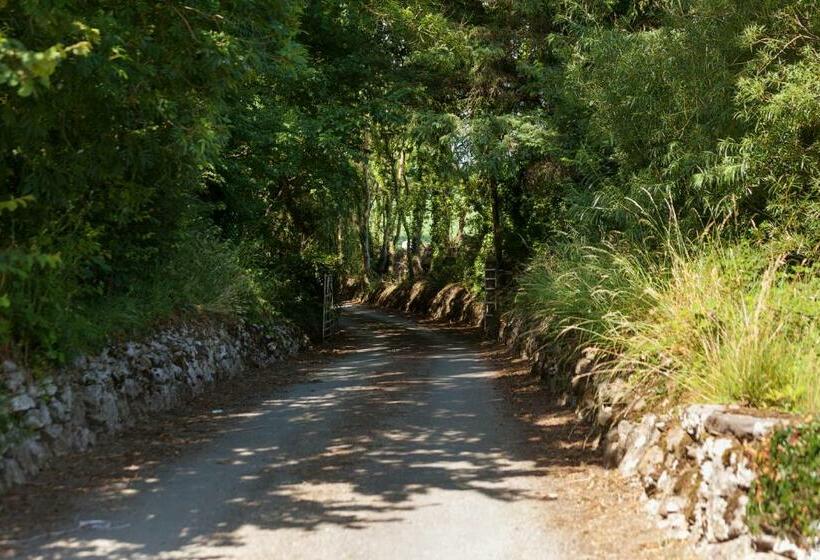 Coolcormack Stud B&b