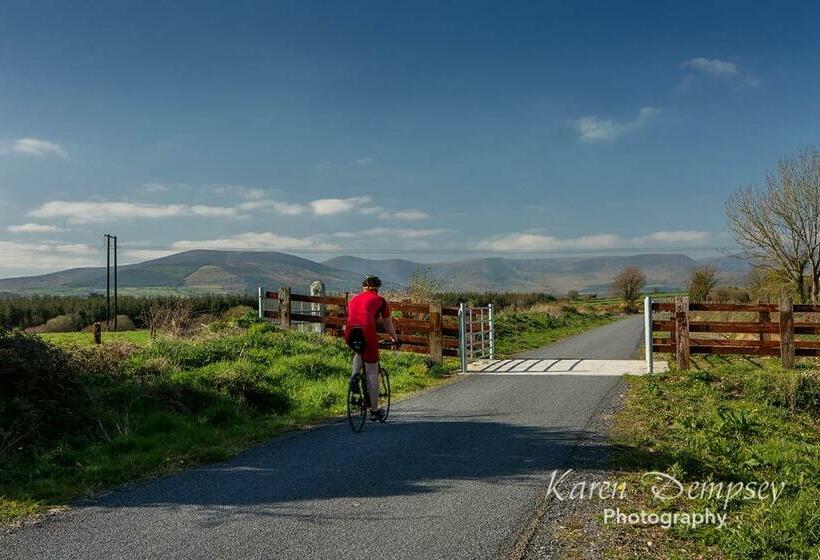 Coolcormack Stud B&b