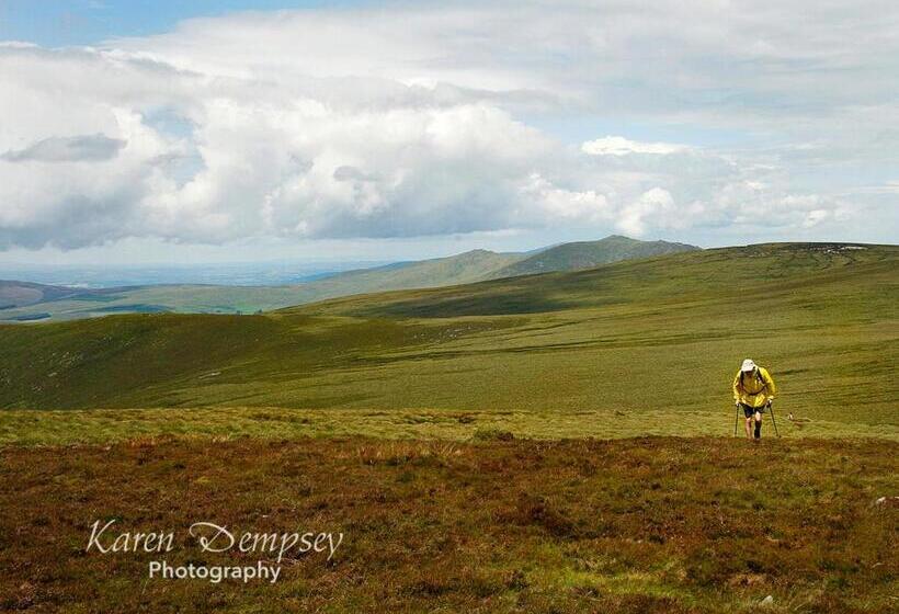 Coolcormack Stud B&b