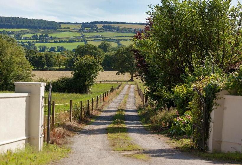 Coolcormack Stud B&b