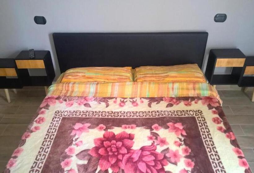 פנסיון Aquarium Room Fish And Gastropods